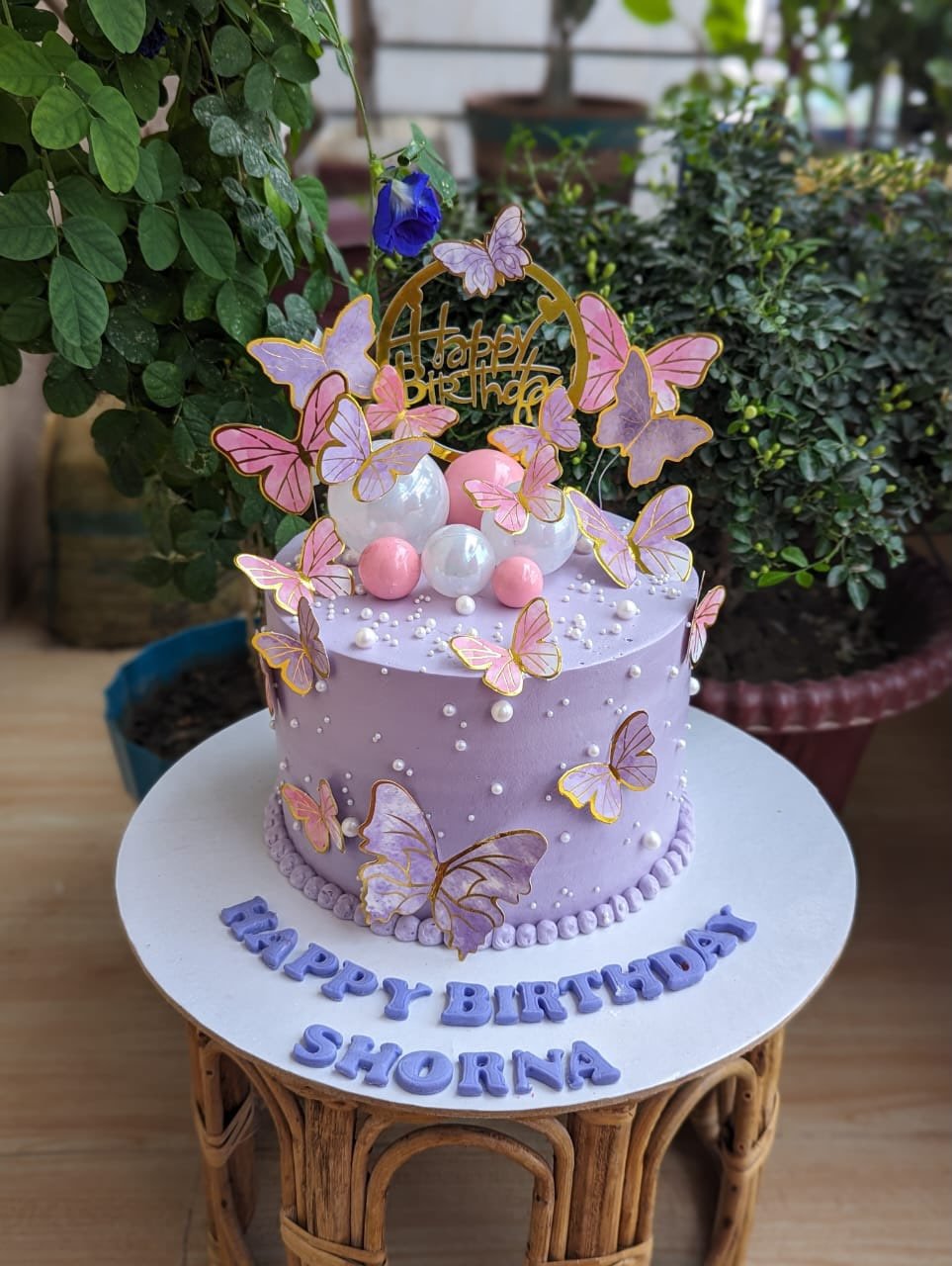 Butterfly Dream Birthday Cake