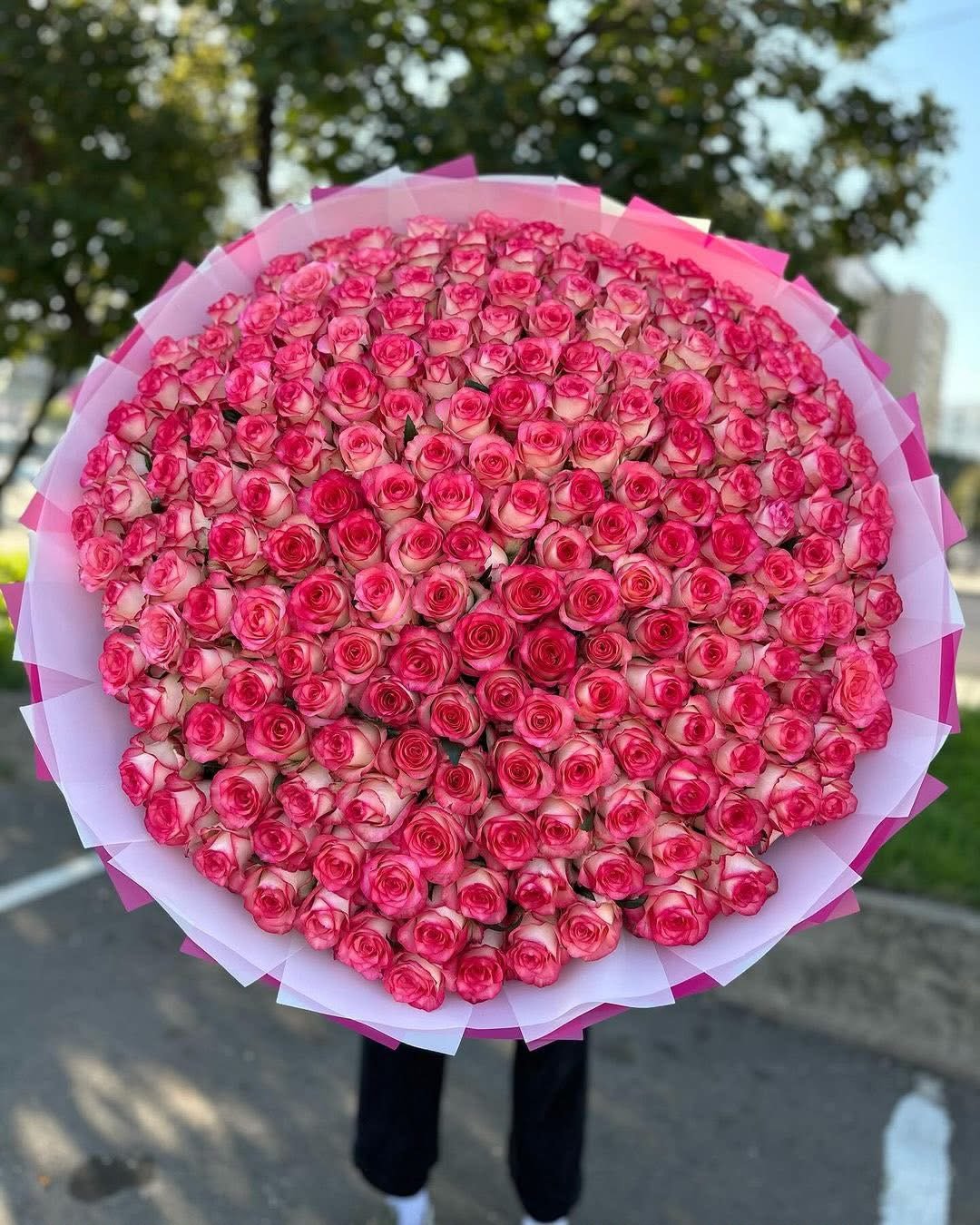 Luxury Pink Rose Bouquet (350 Pink Roses)