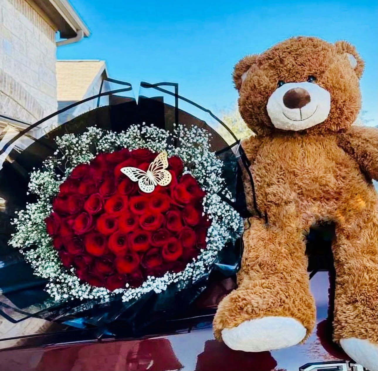 eddy & Red Rose Combo Gift